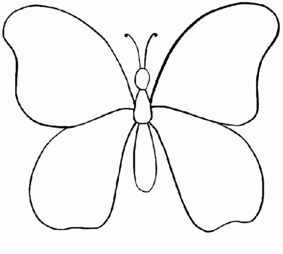 Drawings of Butterflies