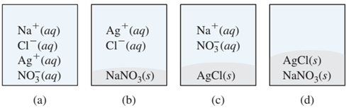 Se mezclan dos soluciones acuosas de AgNO3 y NaCl. ¿Cuál de los siguientes diagramas representa mejor la mezcla?