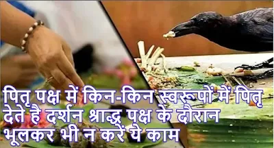 In What forms do Ancestors give darshan during the Pitru Paksha do not do this work