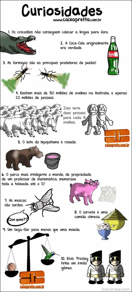 curiosidades bacanaus