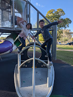 One of the fabulous parks we stopped in on the way home. This one had a magnificent slide.