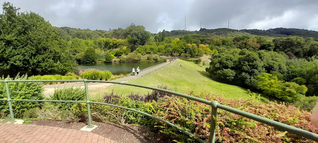 View from the Noel Lothian Viewing Platform