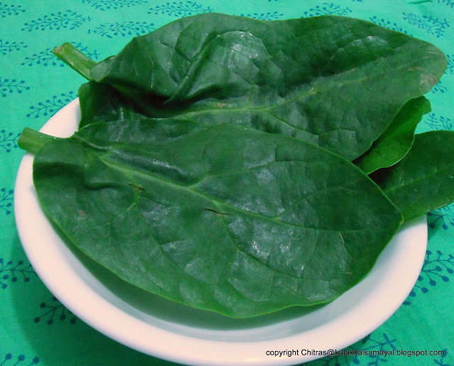 Kodi Pasalai keerai [ Spinach ]