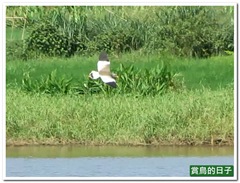 20120325_145208_0642_TianLiaoyang