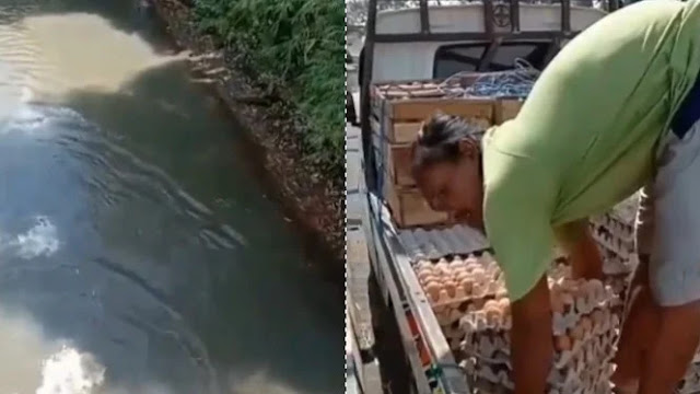 Viral Ratusan Telur Dibuang ke Sungai