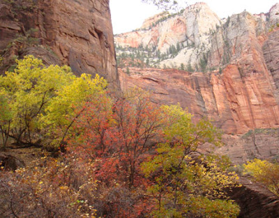 Zion National Park