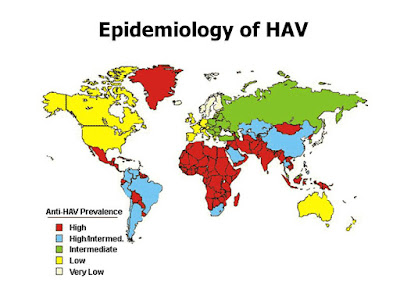 Carte du monde - Epidemiologie HAV