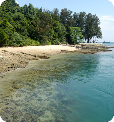 We CLEARLY have reefs! The reefs off Sisters Islands are visible on a clear water day