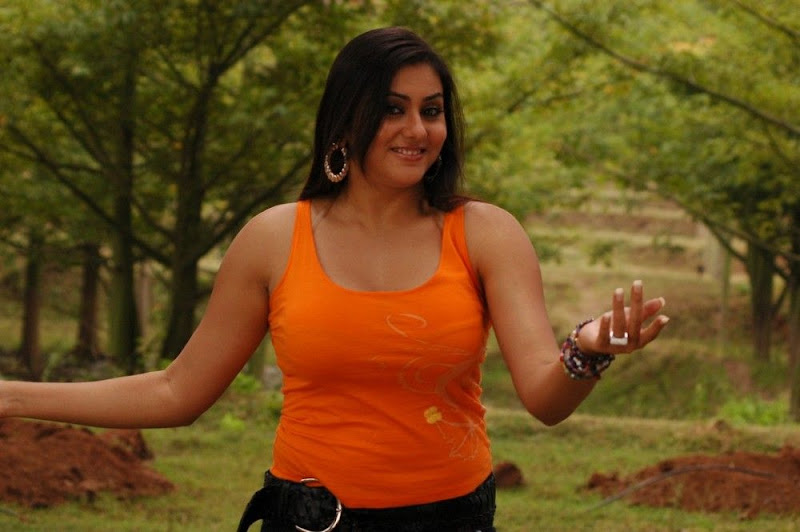 Actress Namitha Hot Movie StillsNamitha In Fire Movie Stills hot photos