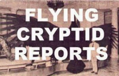The Black Vault And Ufo Secrecy John Greenewald Jr Live