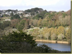 DSCF0721