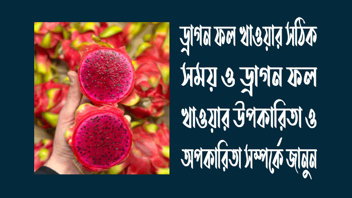 ড্রাগন ফল খাওয়ার সঠিক সময় - ড্রাগন ফল খাওয়ার উপকারিতা ও অপকারিতা