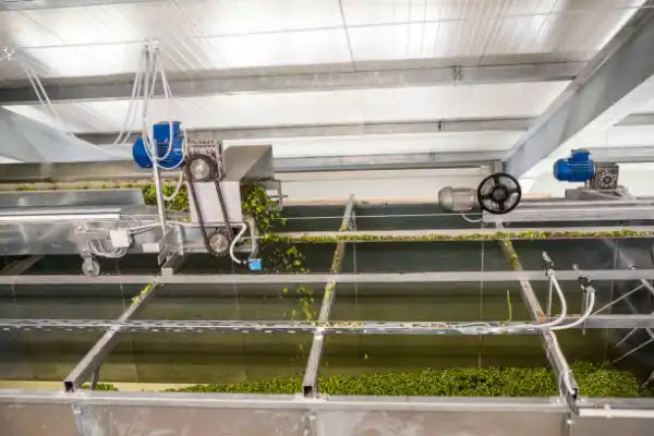 Aquaculture Systems