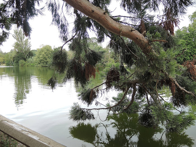 Parijs: een stukje Bois De Boulogne