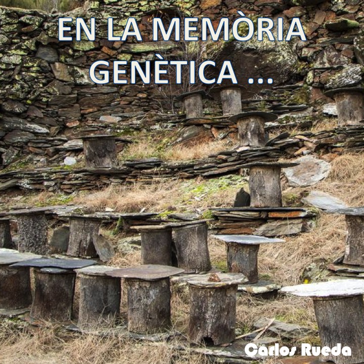 EN LA MEMÒRIA GENÈTICA