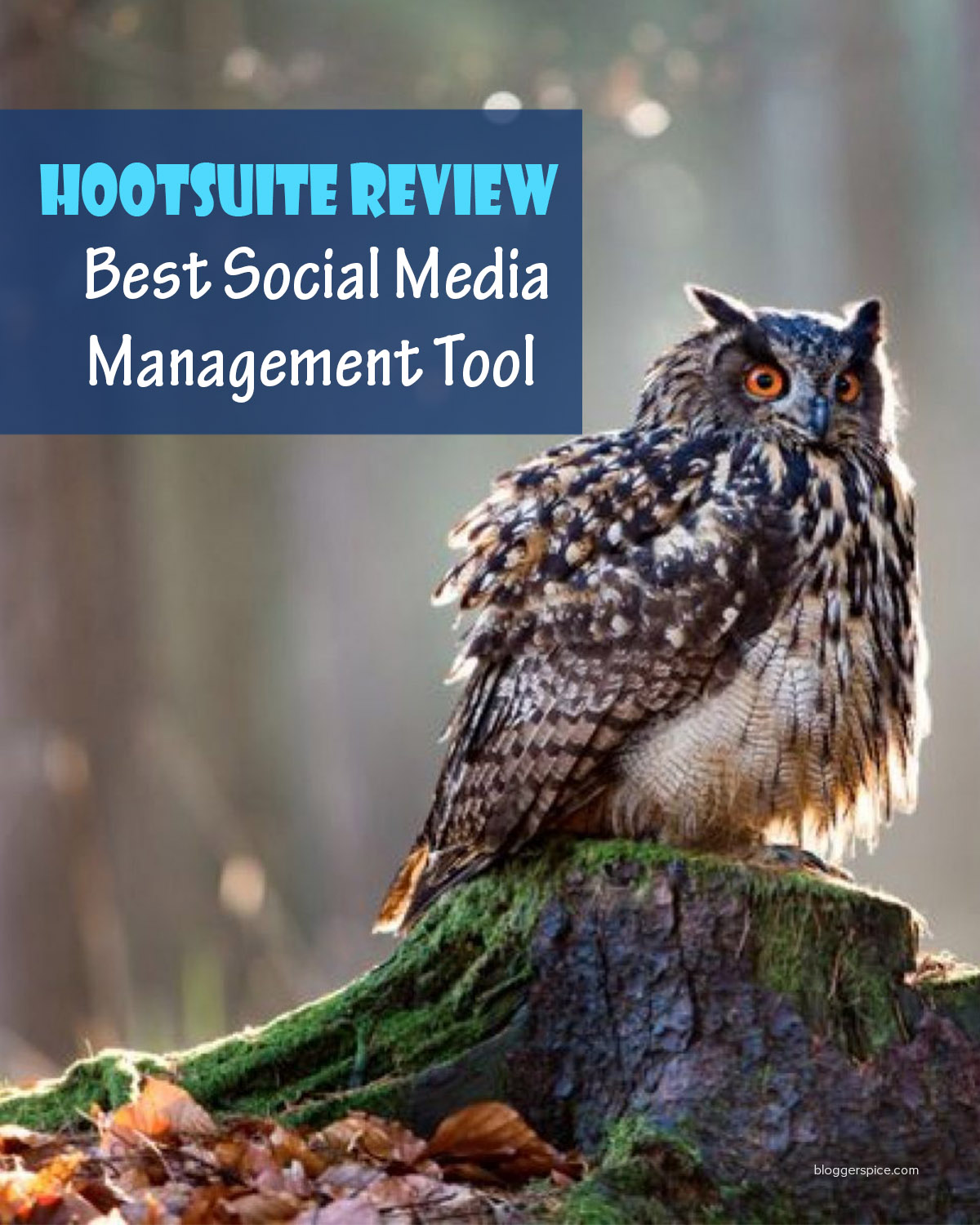 Hootsuite the Most popular Social Media Management and Analytic Tool on the Market