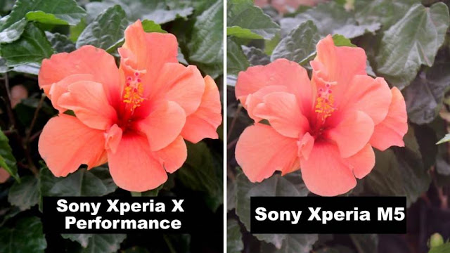   perbandingan foto antara Xperia X Performance dengan sony xperia M5 (klik disini untuk melihat gambar lebih detail)