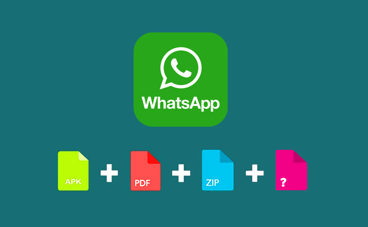 Download Unknown Format File from WhatsApp