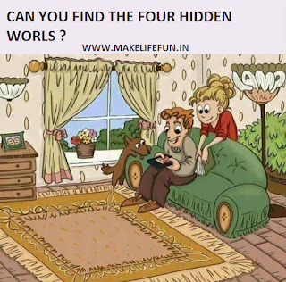 Can you find the four hidden words in the below photo