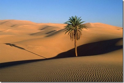 deserto