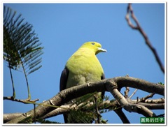 20110420_160226_014_228Park