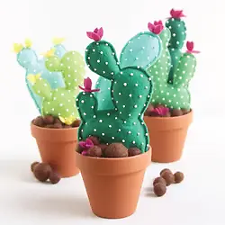 cactus de fieltro