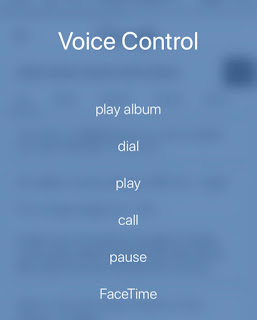 Turning Off the Voice Control iPhone that Suddenly Appears