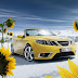 Cute Saab Wallpapers