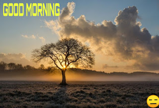 good morning images in hindi