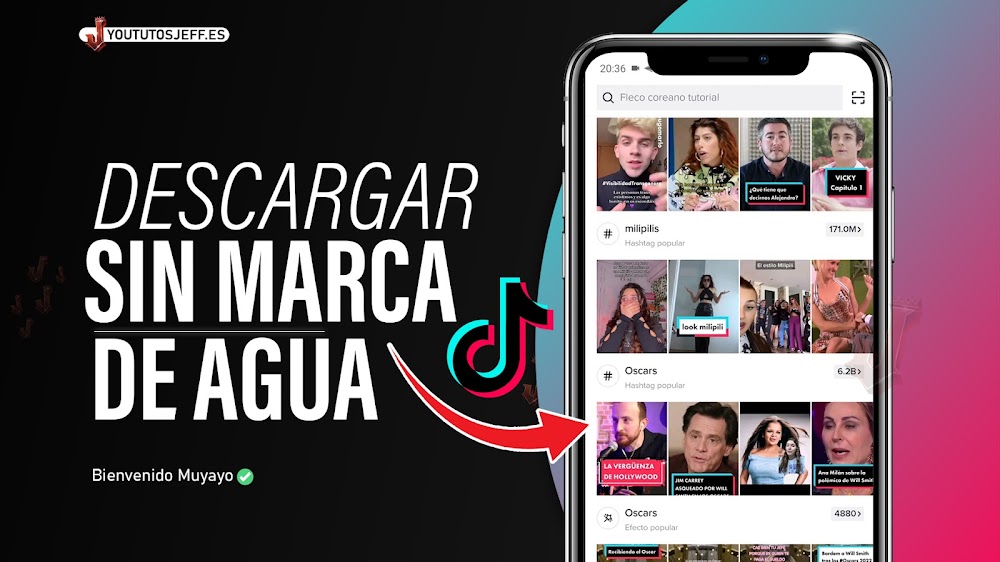 Descargar Videos de TikTok sin MARCA DE AGUA