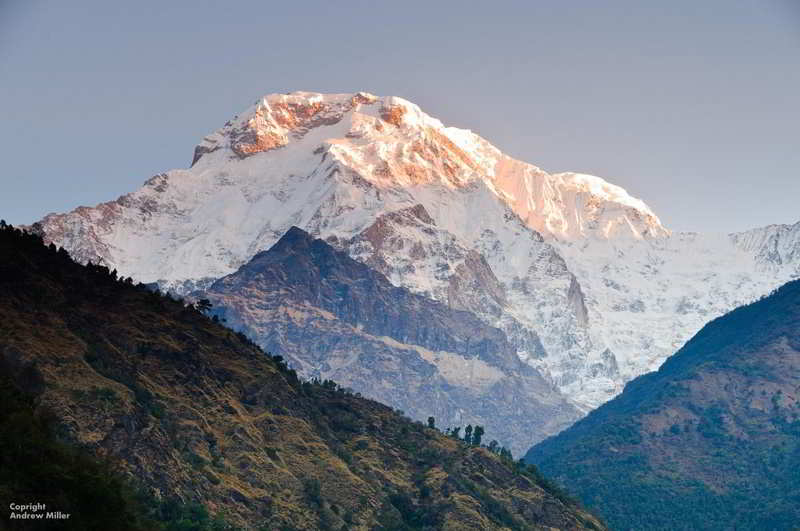 Great Himalayan