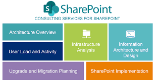  Unlocking the Benefits of SharePoint Consulting: A Guide for Businesses