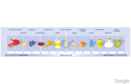 cartine-di-tornasole-kit