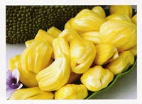 Jack Fruit