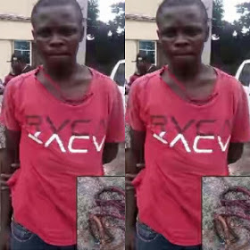 Hilarious !!! Armed Robber Collasped After His Own Charm (JUJU) Was Used On Him my gistertain