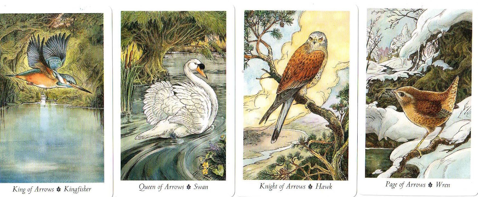 The Wild Ones Tarot Thrones The Court Card Blog