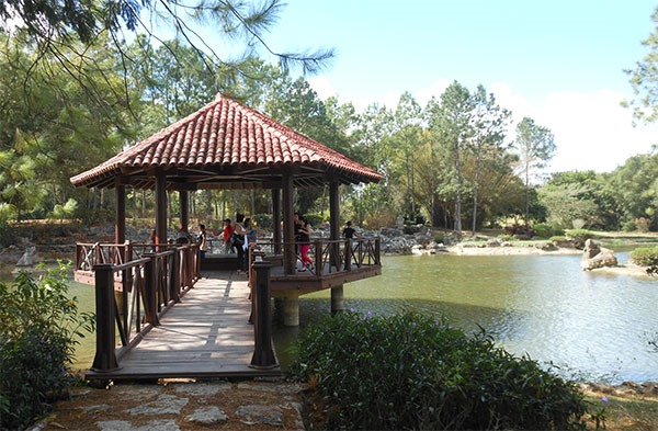 En el Jardín japonés del Jardín Botánico de la Habana