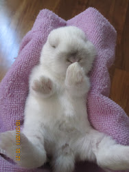 and lotsa kisses