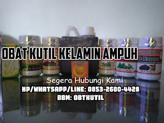 obat kutil kelamin