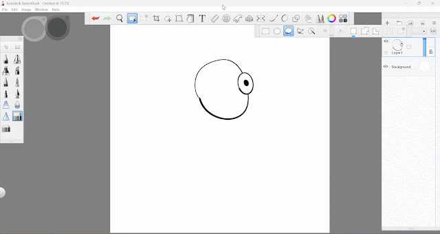 lasso tool + transform tool