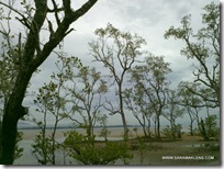 LGOptimus2x_P990_sample_photos_atthebeach_2