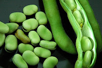 فوائد الفول و الفول المدمس الصحية Beans and Beans Medames