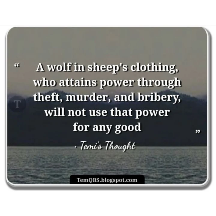 A wolf in sheep's clothing, who attains power through theft, murder, and bribery, will not use that power for any good - Temi's Thought: Proverbial Quote