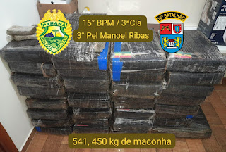 PM APREENDE MAIS DE 500 QUILOS DE MACONHA EM MANOEL RIBAS 