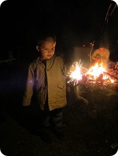 2014-8-22 Campfire, S'mores, and Sparklers (1)