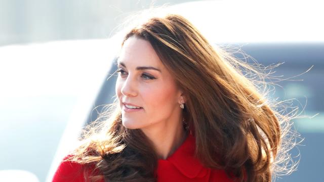 Kate Middleton's Cancer Diagnosis Unveiled: Gynaecologist Shares Startling Insights