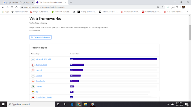 web framework market leader - sahretech