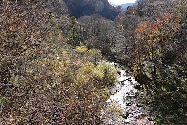 鳥取県西伯郡大山町 大山環状道路 阿弥陀川