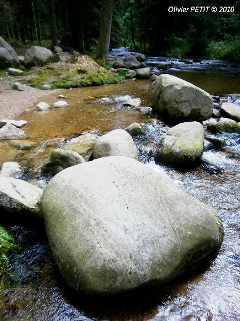 GERARDMER (88) - Le sentier écologique des Perles de la Vologne 