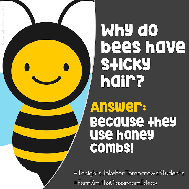 𝗧𝗼𝗻𝗶𝗴𝗵𝘁'𝘀 𝗝𝗼𝗸𝗲 𝗳𝗼𝗿 𝗧𝗼𝗺𝗼𝗿𝗿𝗼𝘄'𝘀 𝗦𝘁𝘂𝗱𝗲𝗻𝘁𝘀 ⁣⁣⁣⁣⁣⁣ Why do bees have sticky hair?⁣ ⁣⁣Answer: Because they use honey combs! #FernSmithsClassroomIdeas